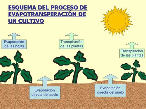 esquema_proceso.jpg esquema_proceso.jpg