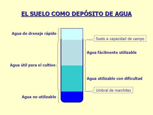 suelo_como_deposito.jpg suelo_como_deposito.jpg
